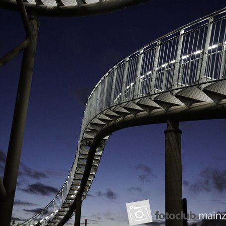 2025 Hombroich &amp; Düsseldorf - Bernd Nootbaar: &quot;Tigerturtle 2&quot;